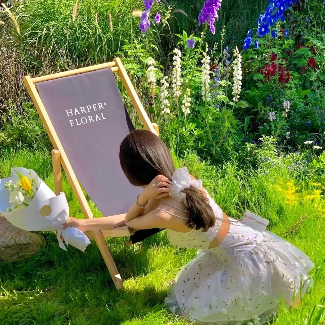 侯门婢女升职记